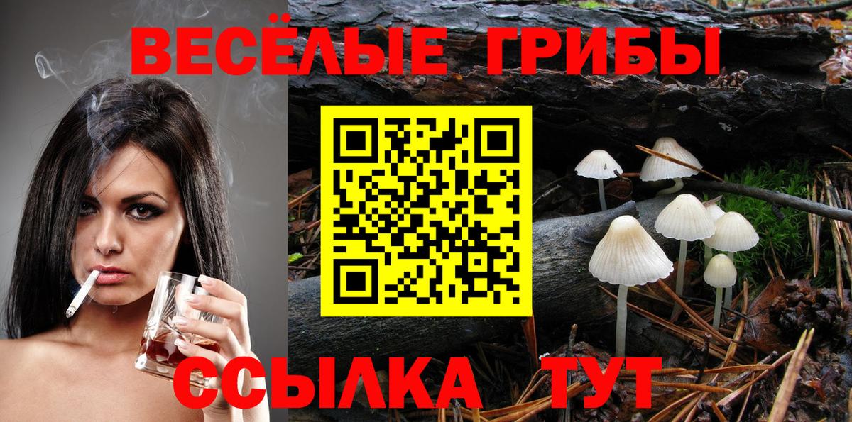 Обь  Псилоцибиновые грибы ЛСД  Вход с VPN  Галлюциногенные грибы ЛСД 